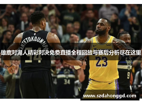雄鹿对湖人精彩对决免费直播全程回放与赛后分析尽在这里